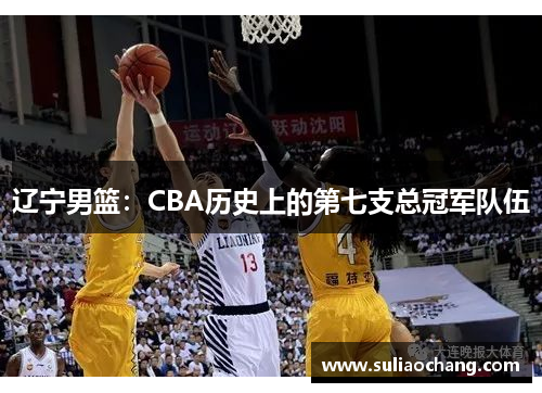 辽宁男篮：CBA历史上的第七支总冠军队伍
