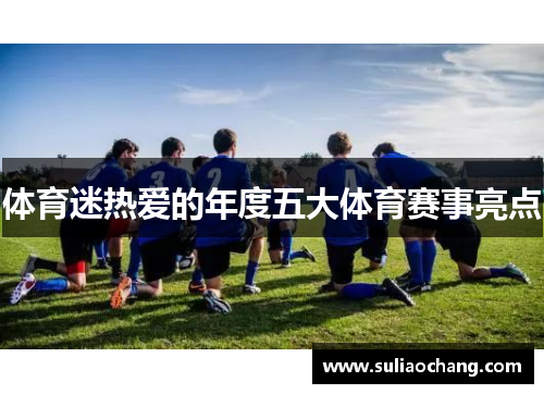 体育迷热爱的年度五大体育赛事亮点