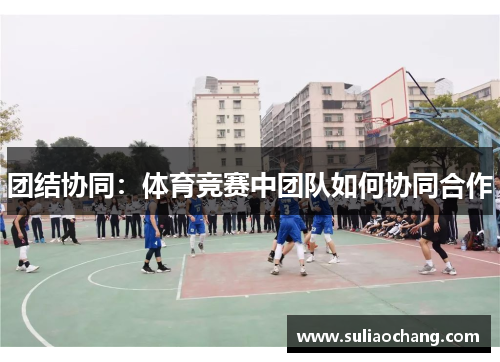 团结协同：体育竞赛中团队如何协同合作