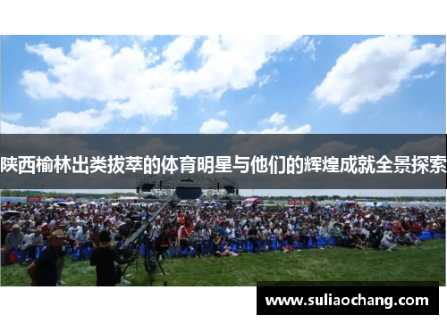 陕西榆林出类拔萃的体育明星与他们的辉煌成就全景探索