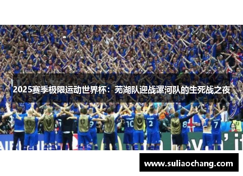 2025赛季极限运动世界杯：芜湖队迎战漯河队的生死战之夜